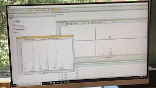 GC MS Data Analysis [upl. by Rye]