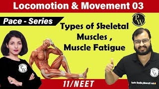 Movement and Locomotion 03  Types of Skeletal Muscles  Muscle Fatigue  Class 11 NEET [upl. by Kahaleel]