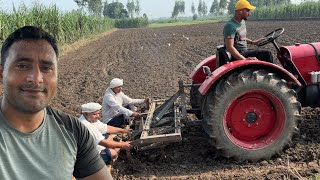 Sarso Bone Ki Taiyari  Parveen Malik Vlogs [upl. by Kcaj825]