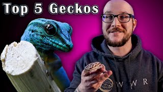 Top 5 BEST Pet Geckos [upl. by Nibla676]