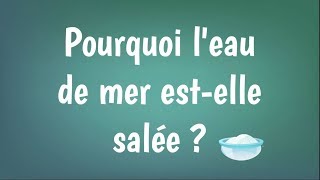 Pourquoi la mer estelle salée [upl. by Yortal]