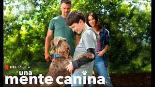 Una Mente Canina  Trailer en Español Latino l Netflix [upl. by Roderigo]