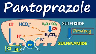 Pantoprazole  Mechanism side effects and uses [upl. by Mloc]