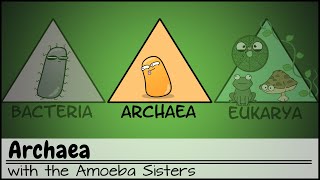 Archaea [upl. by Paolo467]