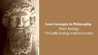 Plato Apology  Socrates Gadfly Analogy  Philosophy Core Concepts [upl. by Enaillil729]