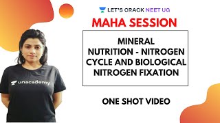 Mineral Nutrition  Nitrogen Cycle and Biological Nitrogen Fixation  NEET Biology  NEET 2020 [upl. by Aek492]