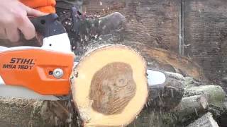 Stihl MSA 160T accu chainsaw vs oak [upl. by Haakon]