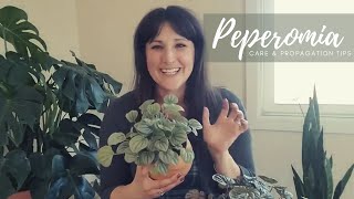 Peperomia  Complete Care amp Propagation Guide [upl. by Hahnert]