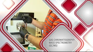 Gas ChromatographyMass Spectrometry [upl. by Ledniahs566]