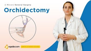 Orchidectomy  Surgery Video Lectures  Medical Student Education  VLearning [upl. by Emile]