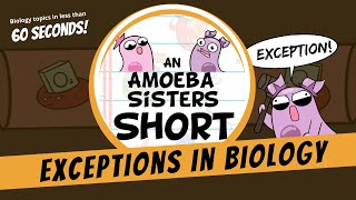 Biology and Its Fascinating Exceptions  Amoeba Sisters Shorts [upl. by Akila]