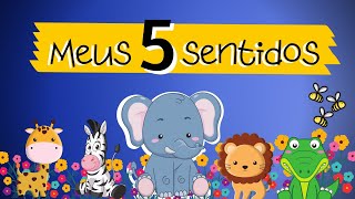 HISTÓRIA CONTADA  MEUS 5 SENTIDOS  PARA TRABALHAR NA EDUCAÇÃO INFANTIL [upl. by Anemix]