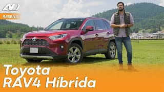 Toyota Rav4 Híbrida ⭐️  Uno de los autos que más te puedo recomendar [upl. by Slavin]