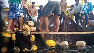 Fishing Pangulong marinduque [upl. by Shandie]