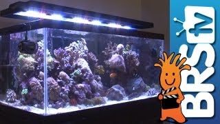 LED Lighting For Aquariums  EP 3 Aquarium Lighting [upl. by Elauqsap]