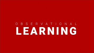 Observational Learning Examples in Advertising  Consumer Behavior [upl. by Nahtanaoj]