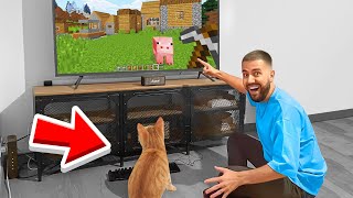 Jai appris à mon CHAT à JOUER à Minecraft  Jai réussi [upl. by Yrok]