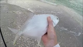 A good day of Pompano fishing on Sanibel Florida [upl. by Nnyladnarb995]