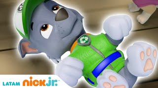 Paw Patrol Patrulla de cachorros  ¡Hora de cachorros  parte 1  Nick Jr en Español [upl. by Hniv991]