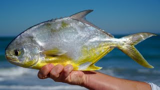 Most VALUABLE Fish at the Beach Catch Clean Cook Beach Pompano Fishing [upl. by Farlee439]