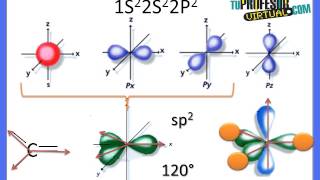 Hibridación de los Orbitales del Átomo de Carbono  Lección Teórica [upl. by Oni]