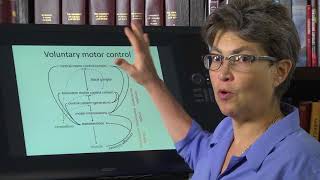 150 Introduction to Motor Control [upl. by Er]