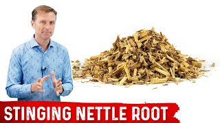 5 Benefits of Stinging Nettle Root [upl. by Ades]