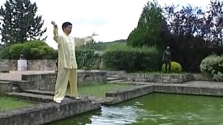 Les 18 exercices du Tai Ji Qi Gong [upl. by Ferren]