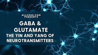 Neurotransmitters and Mood GABA amp Glutamate [upl. by Toll]