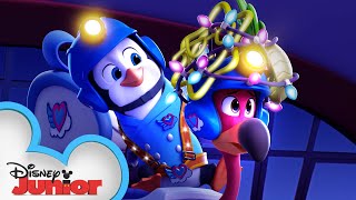 Pip Has Freddys Back 😊 TOTS Disney Junior [upl. by Bick]