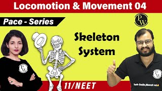 Movement and Locomotion 04  Skeleton System  Class 11  NEET  PACE SERIES [upl. by Madriene252]