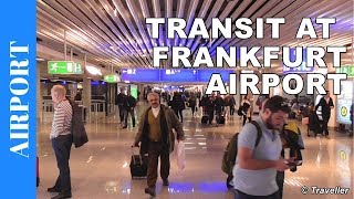 TRANSIT WALK AT FRANKFURT Airport FRA Terminal 1  Connection Flight Transfer Arriving amp Departing [upl. by Vershen767]