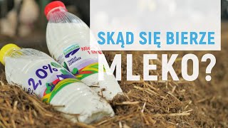 Skąd się bierze mleko [upl. by Suez490]