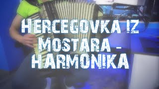 Hercegovka iz Mostara  HARMONIKA [upl. by Olympie]