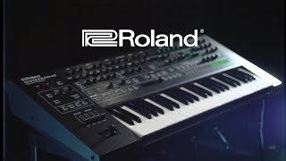 Roland System 8 AIRA Plug Out Synthesizer Updates  Gear4music Overview [upl. by Aerdnuahs]