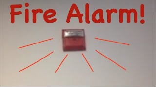 Fire Alarm Test  College Dorm Again Wheelock NSs [upl. by Norrehs565]