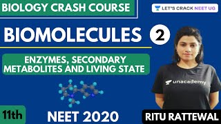 Biomolecules  Enzymes Secondary Metabolites and Living State  Part 2  NEET 2020 [upl. by Berna]