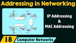 Addressing in Networking [upl. by Ladew]