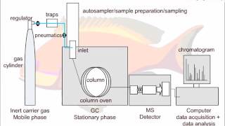 Strategies for GCMS Method Development [upl. by Akihsan]